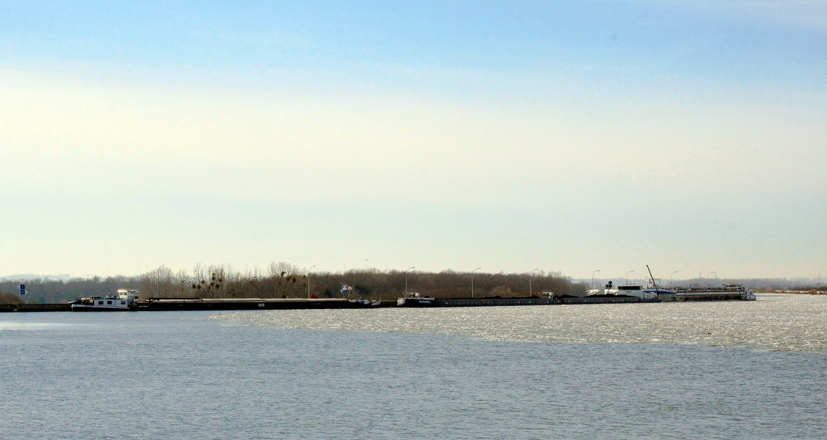 Auf Grund der Eissperre mußten viele Berufsschiffer  ihre Arbeitsplätze  stehen lassen. Am 18.02.2021 lagen am Abzweig des  ROTHENSEER VERBINDUNGSKANALES  vom  MITTELLANDKANAL  das GMS Merkur (04403640) , der Koppelverband Elegance I (02338754) & Elegance II (02338755) sowie der TSL Suanca (04808880) mit dem Schubboot Gino (05502270).     