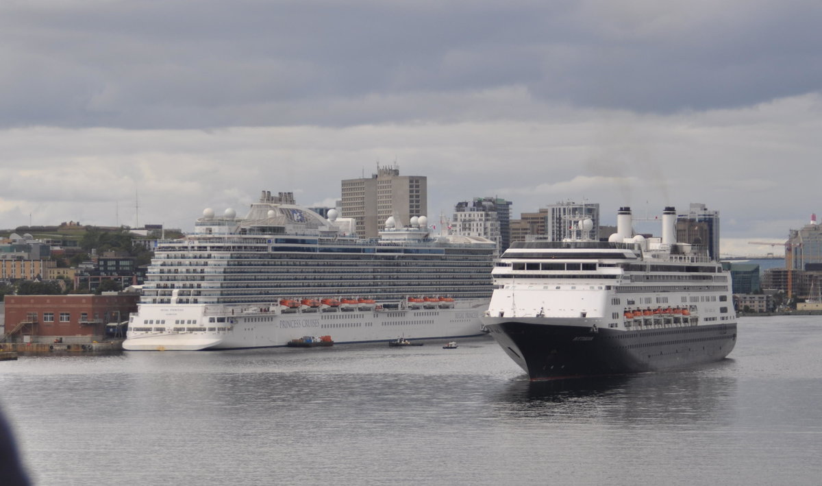 Aufgenommen am 19.09.2018 bei der Ausfahrt in Halifax: Die MS Rotterdam und Regal Princess IMO: 9584724 