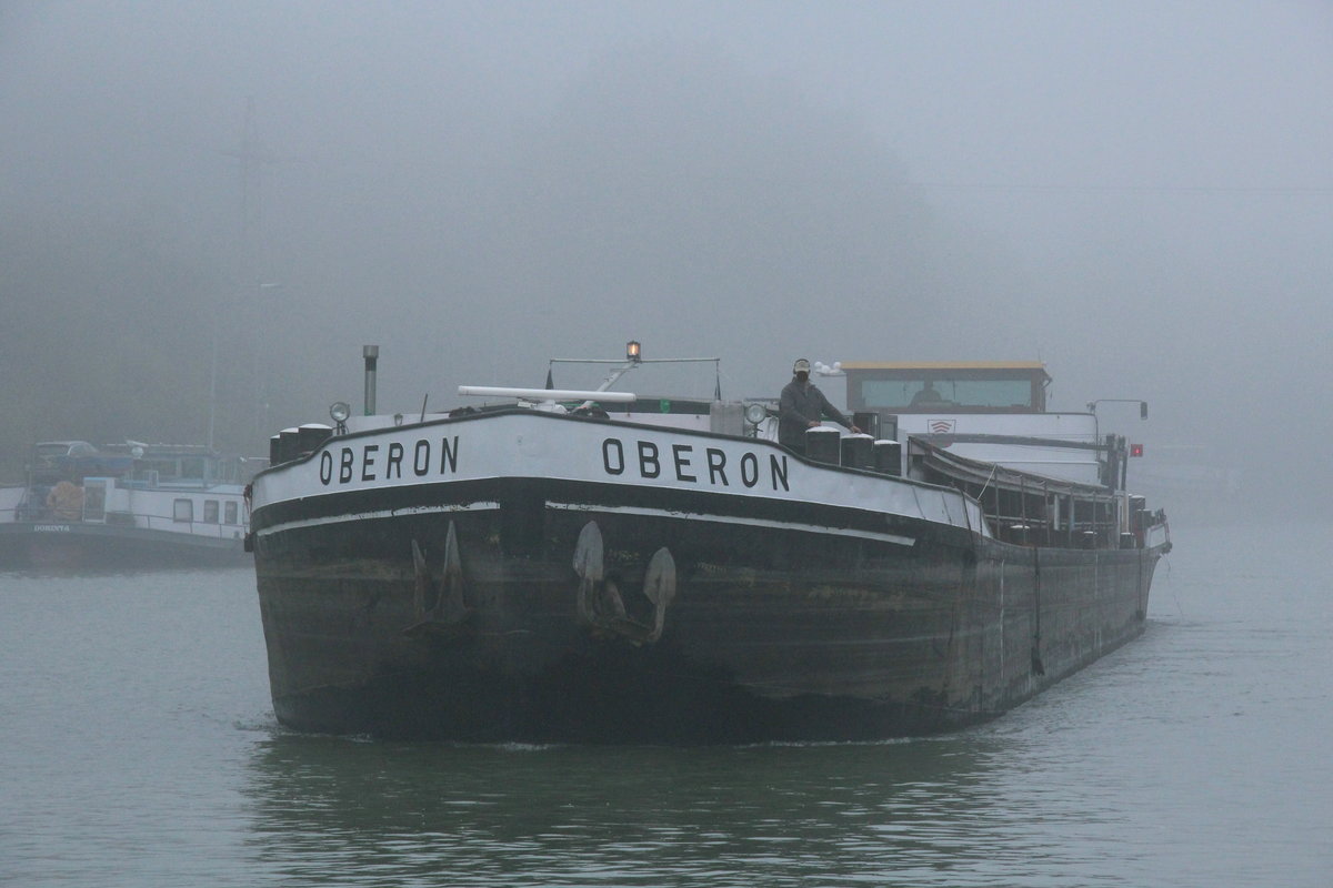 Aus dem Nebel des 30.09.2020 kam das  GMS OBERON  (04017840 , 80 x 9m) im  DORTMUND-EMS-KANAL  zu Tal bei Bergeshövede.