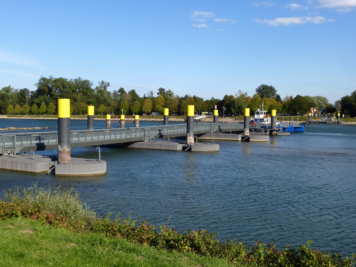 Autofhre ber den Rhein, Blick vom Ufer in Seltz/Elsa zum Anleger in Plittersdorf auf der deutschen Seite, Sept.2015