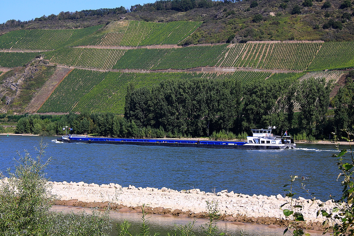 Ayanna / Maastricht / NL am 05.09.2021 bei Boppard/Rhein