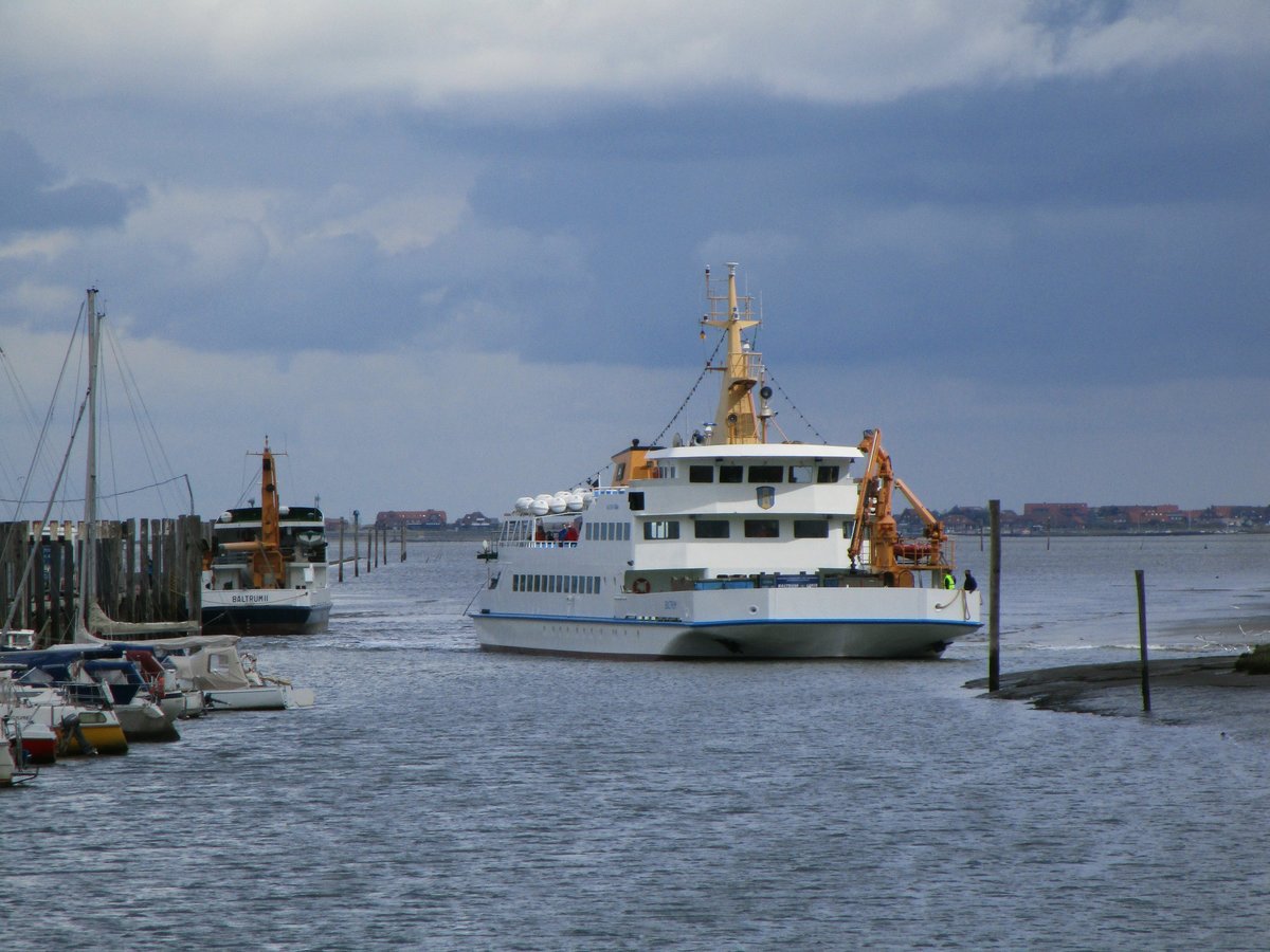 BALTRUM I  (IMO 7600562 , 45,56 x 12,00m) am 07.06.2020 , von Baltrum kommend , im Hafen von Neßmersiel.
