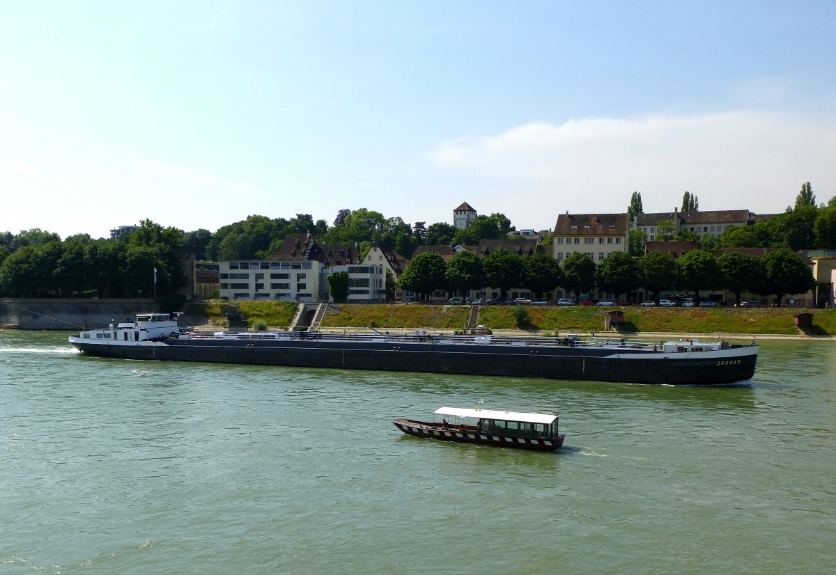 Basel, TMS  Jaguar  und Rheinfhre St.Alban  Wild Maa , Juni 2015