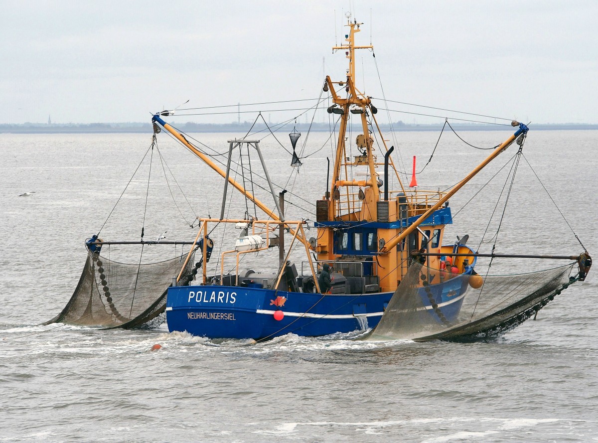 Baumkurrenfischerei. Der Krabbenkutter POLARIS, Fischereinummer NEU 230, im Wattenmeer zwischen Neuharlingersiel, Spiekeroog und Langeoog am Morgen des 15. Mai 2014.