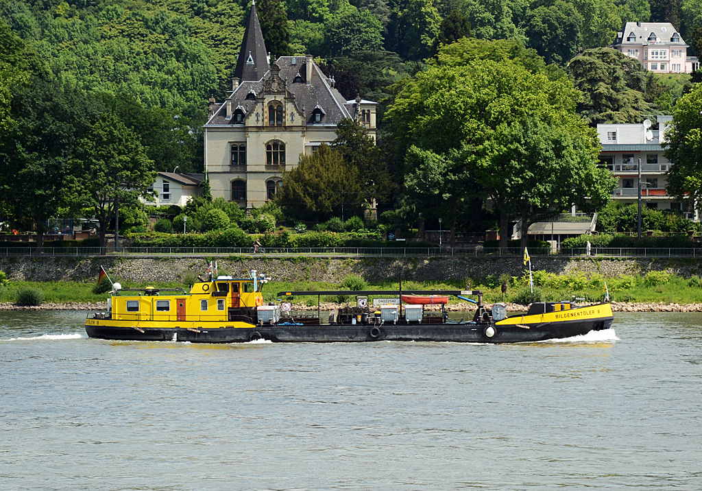  Bilgenentöler 8  auf dem Rhein in Königswinter - 31.05.2014