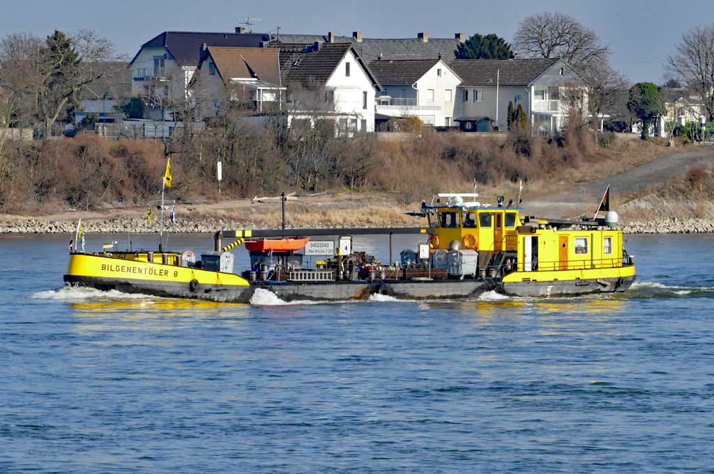  Bilgenentöler 8  auf dem Rhein bei Wesseling - 14.02.2017