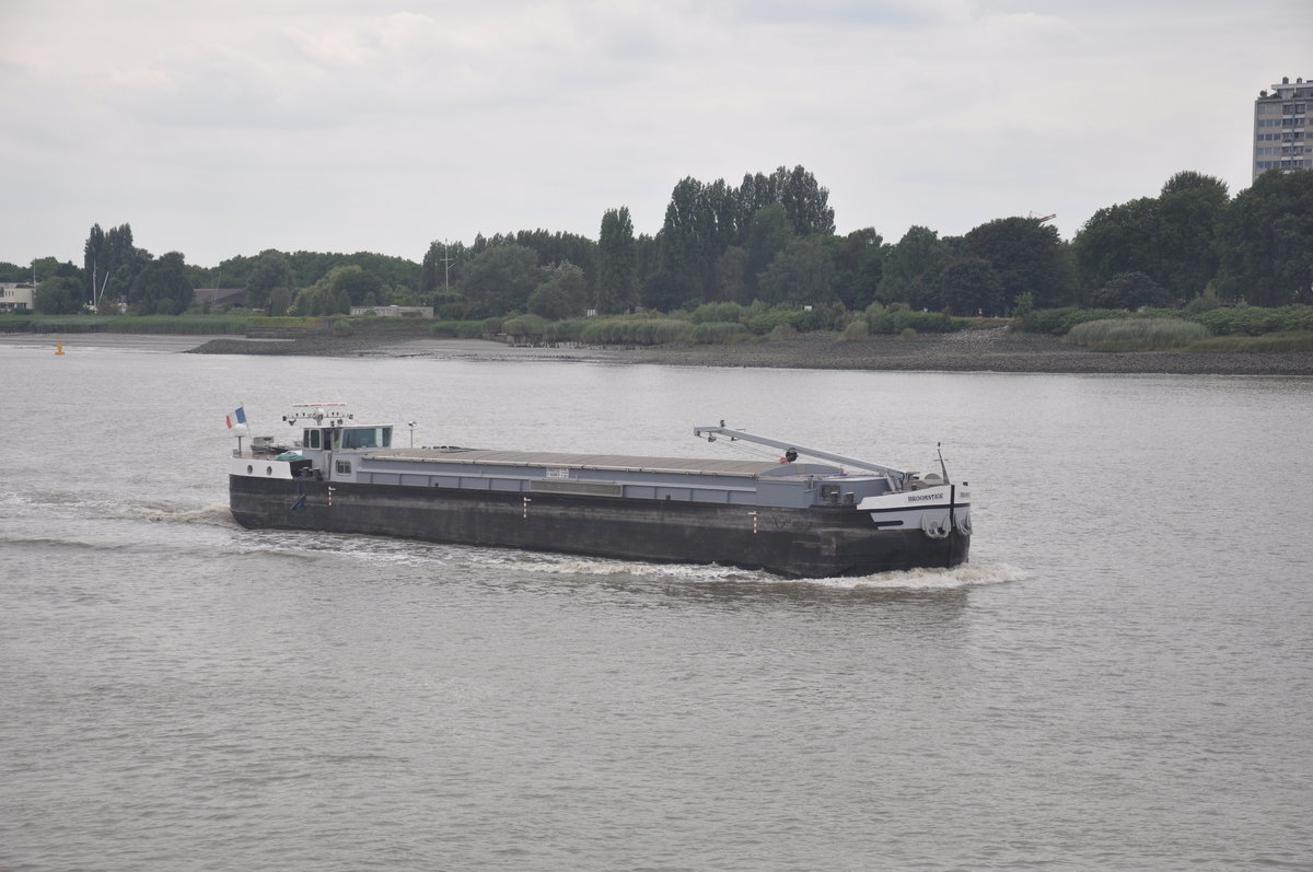 Binnenschiff Broomstick aufgenommen 15.07.2017 am Schelde in Antwerpen