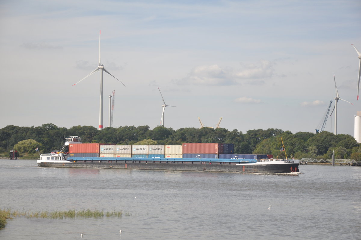 Binnenschiff Erculano aufgenommen 07.08.2017 am Schelde in Antwerpen 