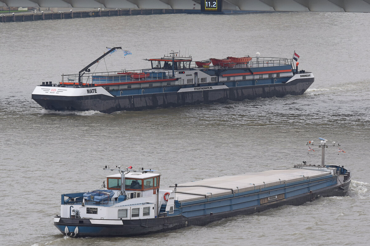 Binnenschiffe MATE (ENI 2204595) und FURORE (ENI 03170633) am 9.2.2022 im Hafen von Rotterdam