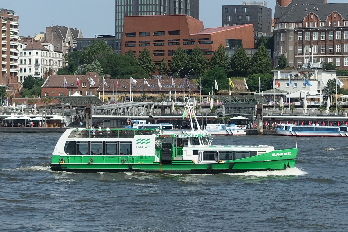 BLANKENESE (3) (ENI 05112080) am  16.7.2021 im neuen HADAG Design, Hamburg, Elbe, Höhe Landungsbrücken  /

Einmann-Fährschiff / HADAG / Lüa 26,45 m, B 6,45 m, Tg 1,88 m / 1 Diesel, 585 kW, 797 PS,  1 Propeller, 11 kn, 1 Bugstrahlruder /  150 (1990 - 165) Pass., 12 Fahrräder / 1990 bei Grube, Oortkaten, Hamburg / 1994 hydr. Gangway / 1999 Lips Düse / 2004 Umbau (in Anlehnung an den Typ 2000) bei SSB, Oortkaten, , 200 Pass., 60 Fahrräder, 2. Bugstrahlruder /
