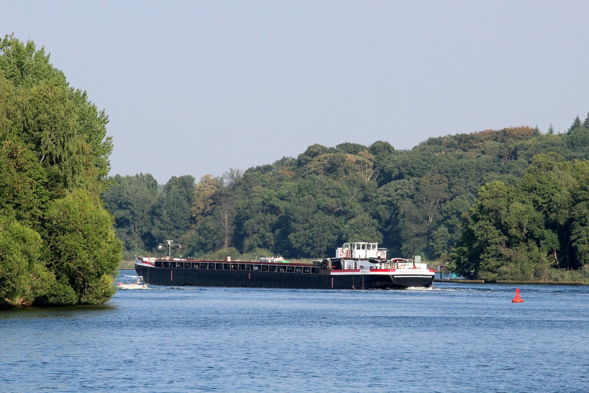 Blick am 13.09.2016 vom Schlosspark Sacrow auf die Havel Richtung Forst Düppel und die Pfaueninsel. GMS Niedersachsen 11 (04002190) fährt die Havel zu Berg. 