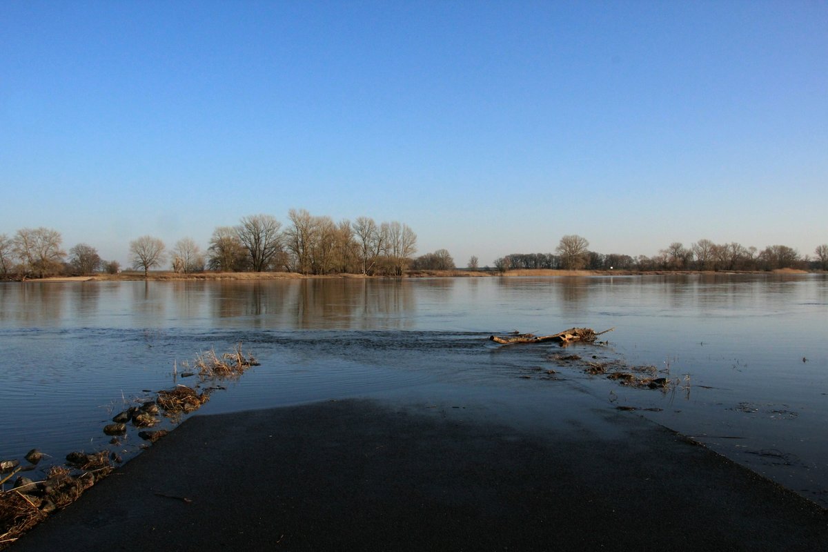 Blick auf die Elbe am 18.02.2019 am Fähranleger Arneburg / Westliches Ufer. Einige Fähren sind z.Zt. nicht in Betrieb. Die Elbe führt  ordentlich  Wasser. 