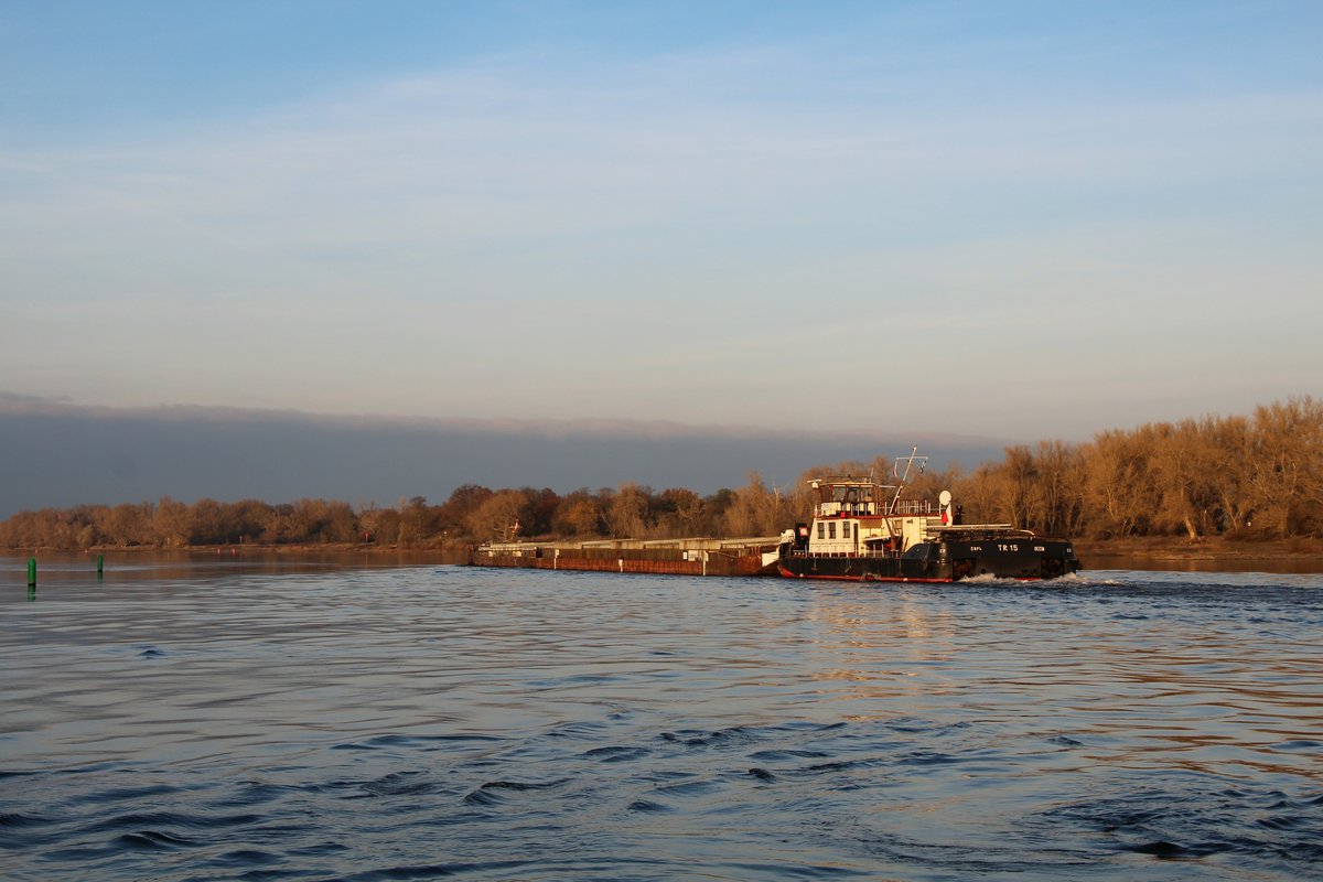 Blick auf die  ELBE  bei Storkau am 24.11.2020. Das Tschechische Schubboot  TR 15 (32200210 , 27,20 x 8,70m) schob zwei Leichter zu Tal. 