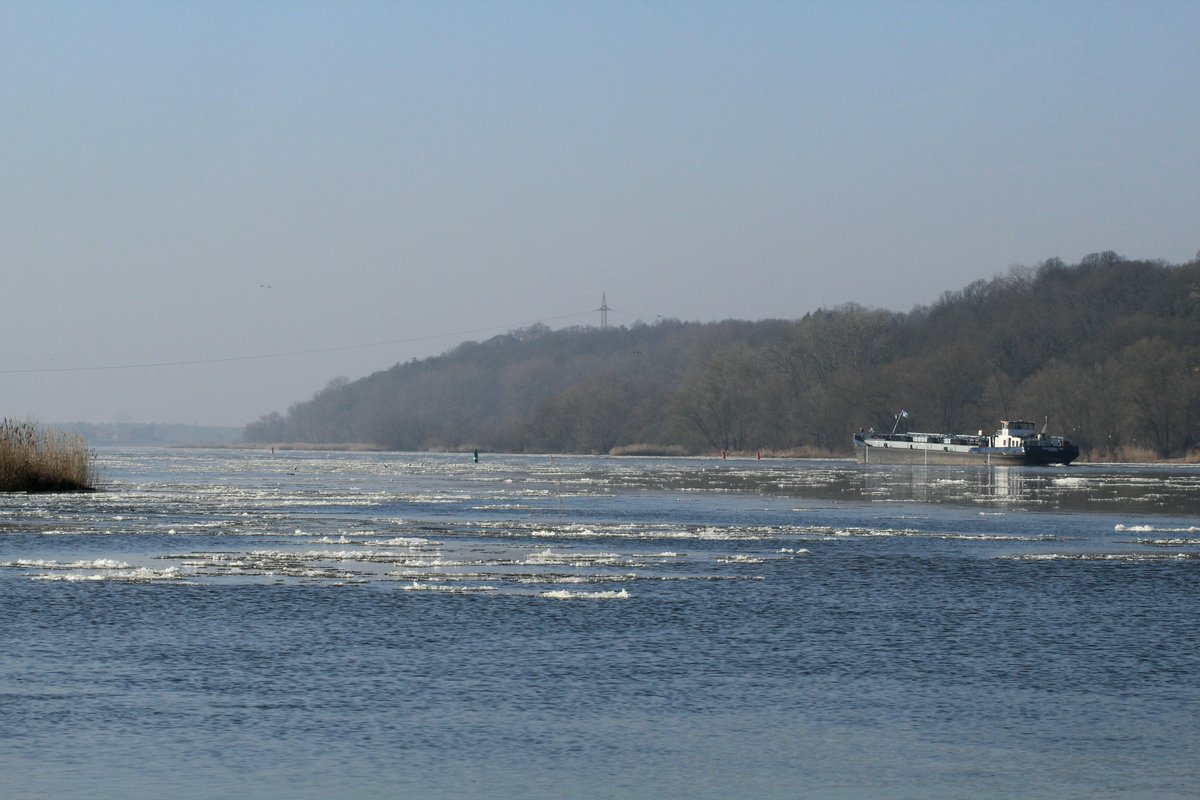 Blick auf die Elbe von Hohnstorf Richtung Geesthacht am 14.02.2017. Das TMS Eiltank 30 (05306970) fuhr zu Tal Richtung Hamburg.