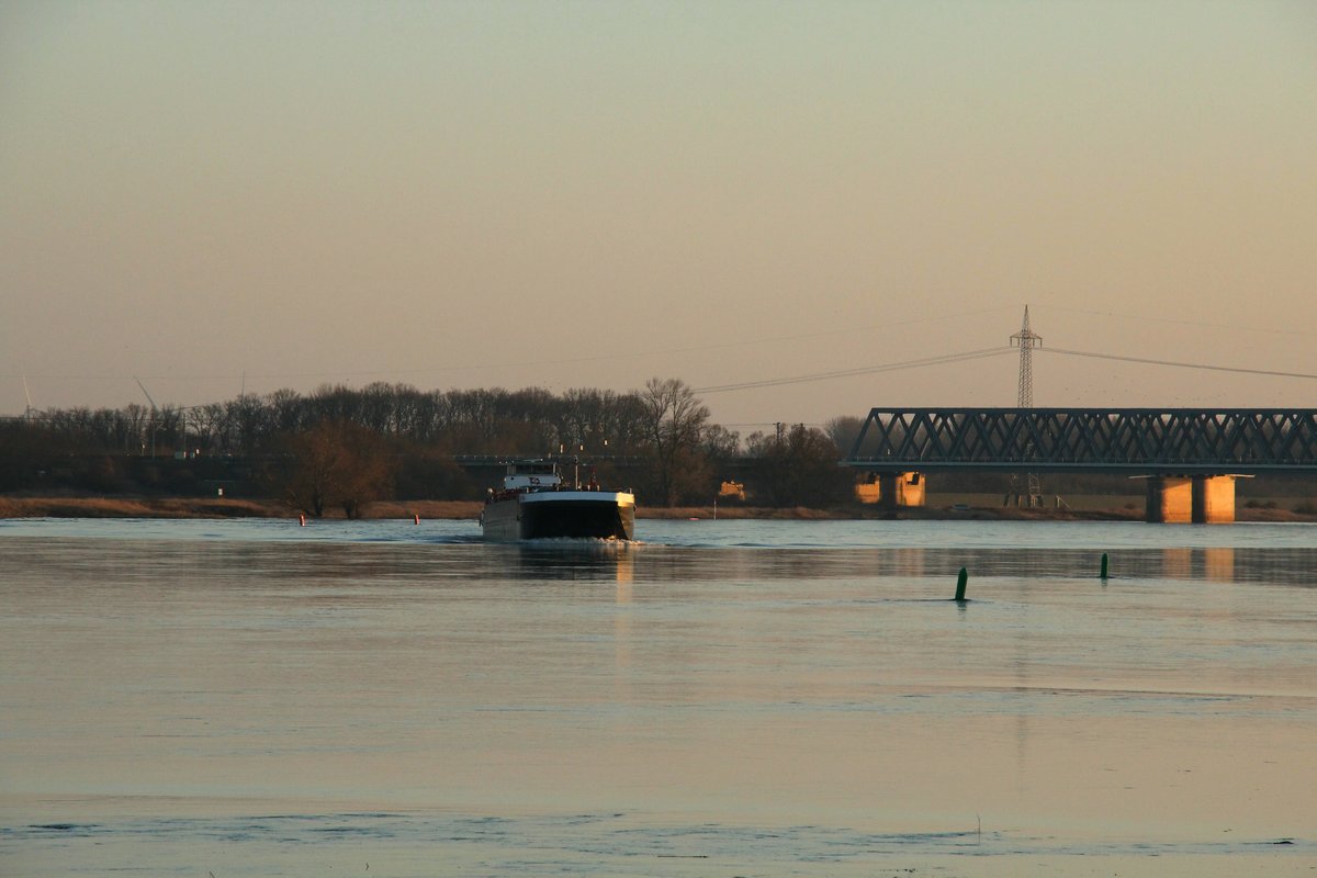 Blick auf die Elbe zu Berg bei Storkau am 18.02.2019. TMS Dettmer Tank 136 (04009090) muß auf Talfahrt hinter der Eisenbahnbrücke bei Hämerten die Fahrwasserseite wechseln.