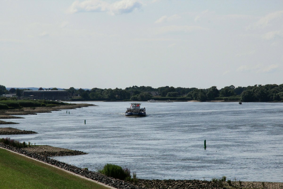 Blick auf die Elbe zu Tal zw. Laßrönne und Zollenspieker am 19.07.2019. Das TMS Eiltank 27 (04806840) fuhr zu Berg. Weiter hinten folgte das GMS Leomar (04012890).