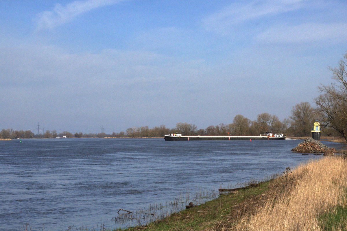 Blick auf die Elbe zu Tal vom km 343 am 18.03.2020. GMS Rita (04017260) kam aus dem Niegripper Verbindungskanal und bog nach Steuerbord auf die Elbe ein.