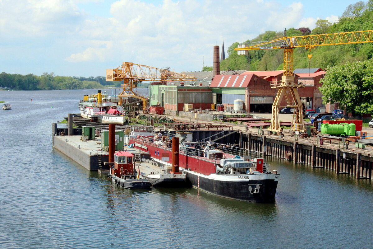 Blick auf die  HITZLER-WERFT  am 19.05.2021 in Lauenburg/Elbe. Im Vordergrund u.a. das Theaterschiff Marie (05100250 , 67 x 7,05m) aus Lübeck. Weiter hinten der Personen Raddampfer Kaiser-Wilhelm (05101270 , 57,20 x 8,38m) auf Helling.