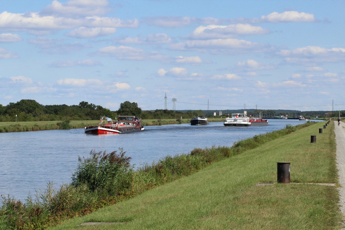 Blick auf den Mittellandkanal zw. den km 318...319 am 28.08.2017 Richtung Osten. Die GMS Wildkatz (04008070) und BM-5241 (08340051) fuhren gen Westen Richtung Haldensleben / WOB. Das TMS Bernhard Dettmer (04806430) bog nach Steuerbord zur Schleuse Rothensee ab.