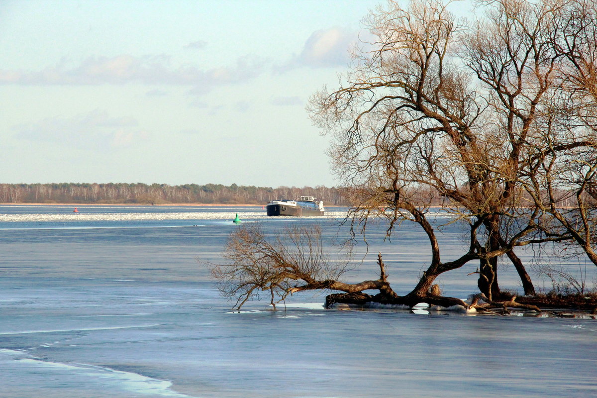 Blick auf den  PLAUER SEE  von Kirchmöser West Richtung Osten am 19.02.2021. Das GMS  OHRE  (04001810) war auf Talfahrt.