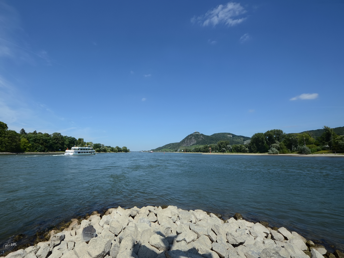 Blick auf den Rhein von der Spitze der Nordkribbe auf der Insel Grafenwerth. (August 2012)