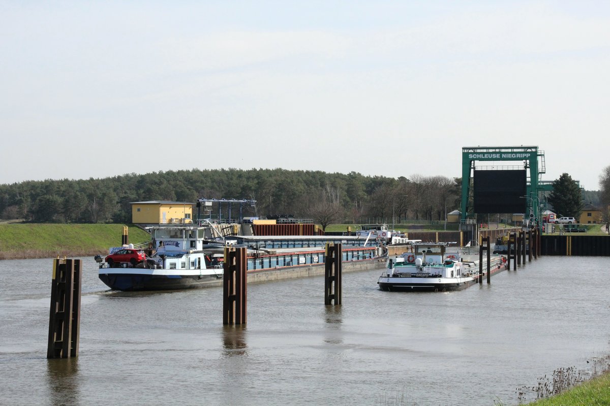 Blick vom Deich auf das Unterwasser bzw. die Schleuse Niegripp am 18.03.2020. GMS Da Capo (04300130) lag v.d. Schleuse. GMS Spree (05110500) fuhr in diese ein und GMS Koinonia (02320325) fuhr heraus.