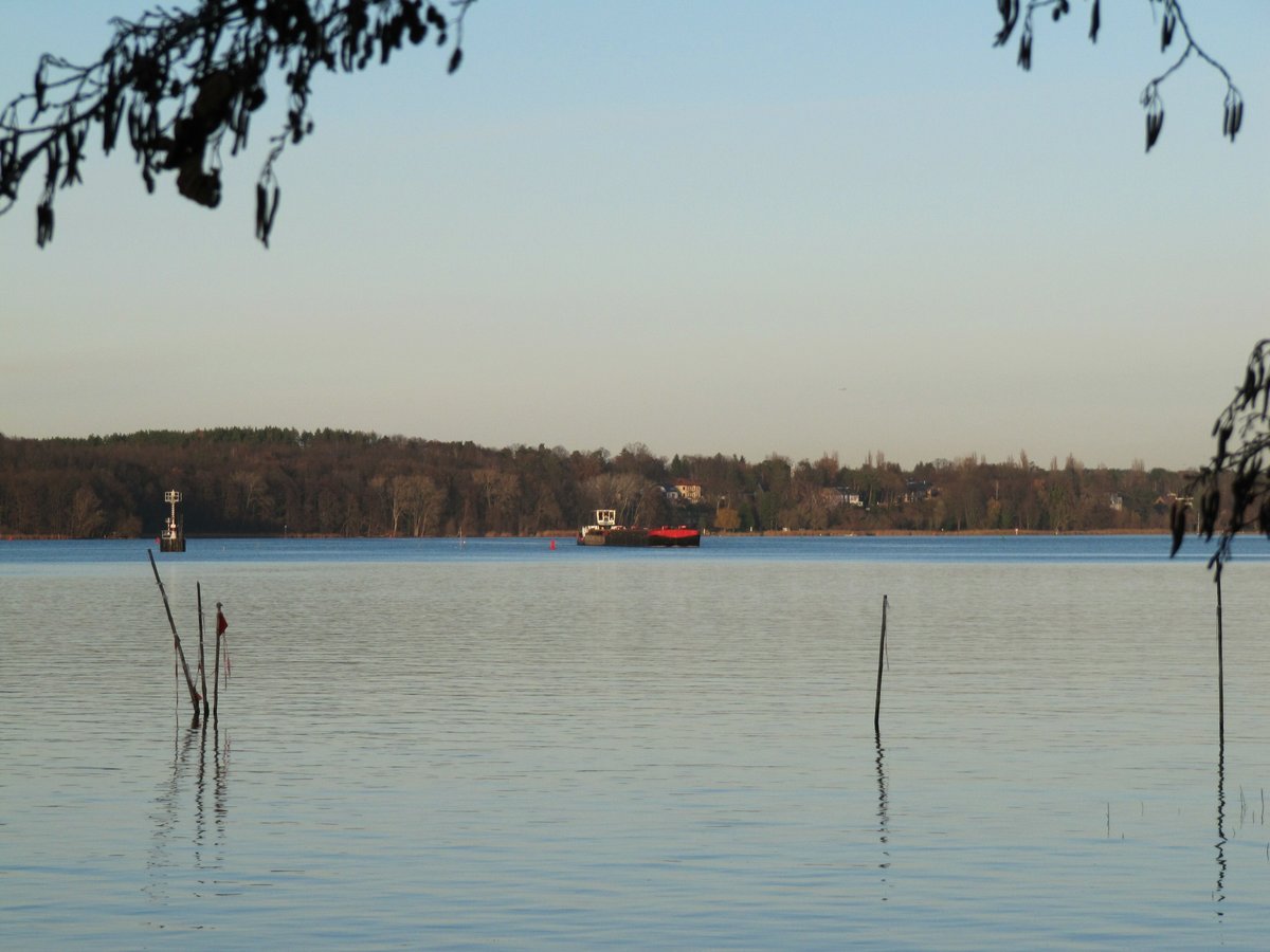 Blick vom Düppeler Forst in Berlin-Wannsee auf die Havel Richtung Berlin-Kladow (mit Beginn der Bebauung) am 05.12.2018. Ein Schubverband mit SB SCH2433 (05502260) ist auf Talfahrt. 