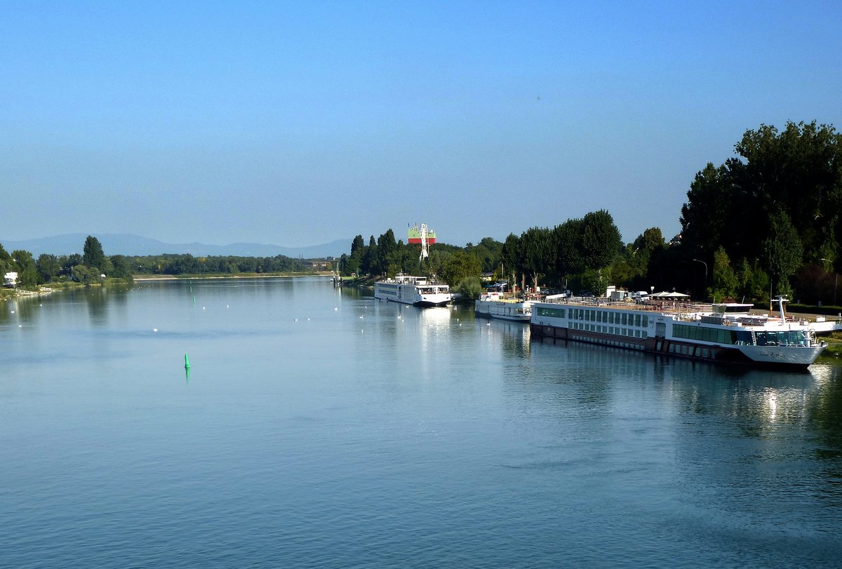 Blick von der Rheinbrcke zum Schiffsanlegeplatz in Breisach, vorn rechts das KFGS  Sound od Music , Aug.2016