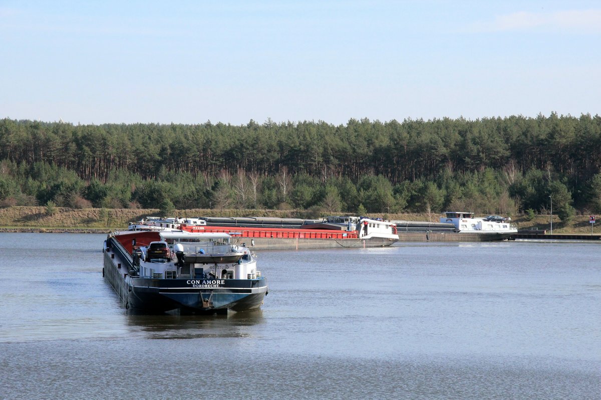 Blick von der Schleuse Niegripp auf den gleichnamigen Verbindungskanal und den Mittellandkanal am 18.03.2020. Das GMS Con Amore (02327210 , 110 x 10,5m) wartete um über Steuer in die Schleuse einfahren zu können. Die GMS Kavevinja (04607900 , 85 x 9,5m) und Meggy (02307190 , 80 x 9m) kamen von der Schleuse Hohenwarthe und bogen über Backbord zur Schleuse Niegripp ab.