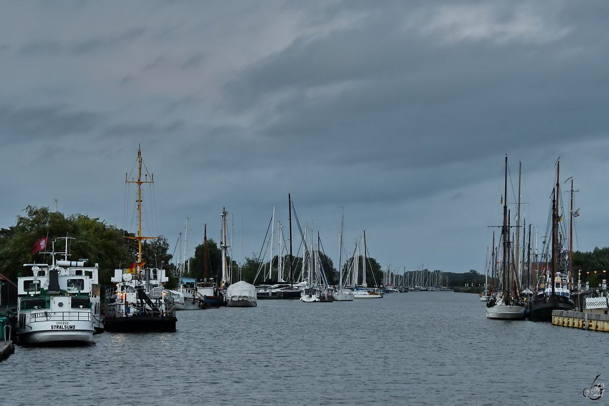 Blick über den Fluss Ryck in Greifswald. (August 2021)