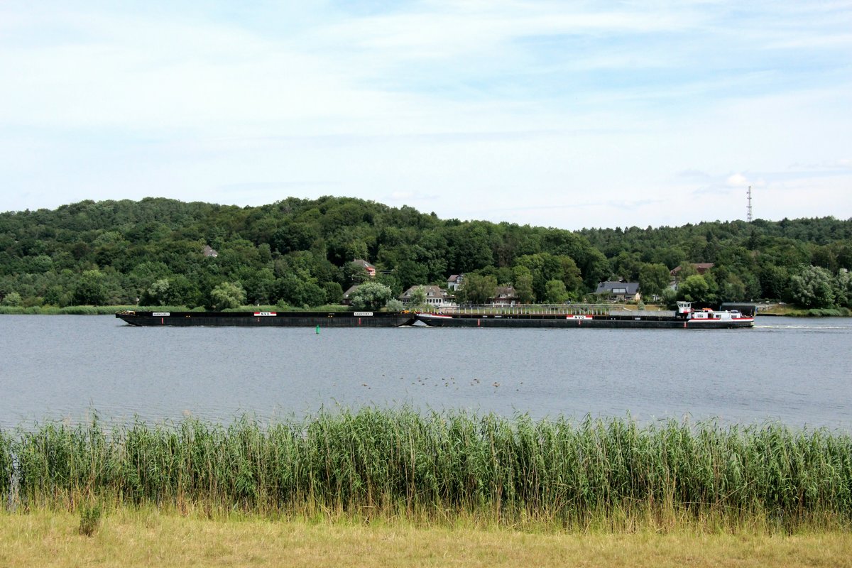 Blick vom Ufer der Elbe bei Tespe zum Nordufer bei Krümmel am 20.07.2019. Der Koppelverband mit GSL Hannover 2 (04030060 , 82 x 9m) & SGMS Niedersachsen 2 (04003680 , 80 x 9m) fuhr zu Tal zur Schleuse Geesthacht.