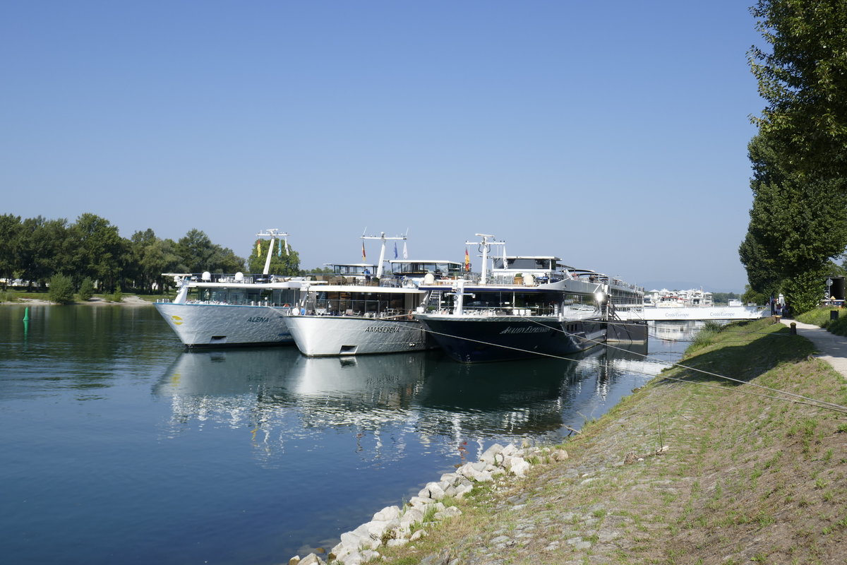 Breisach am Rhein, Bugansicht der Flußkreuzfahrtschiffe v.r.n.l.
 Avalon Express -Hamburg,  Amaserena -Basel,  Alena -Valetta/Malta, Aug.2019
