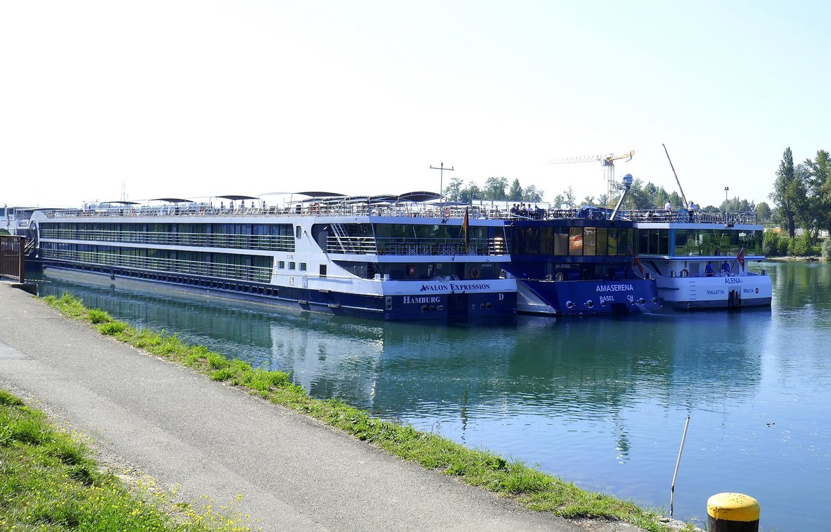 Breisach am Rhein, Heckansicht der Flusskreuzfahrtschiffe von l.n.r. 
 Avalon Express  / Hamburg,
 Amaserena  / Basel,
 Alena  / Valetta, Aug.2019