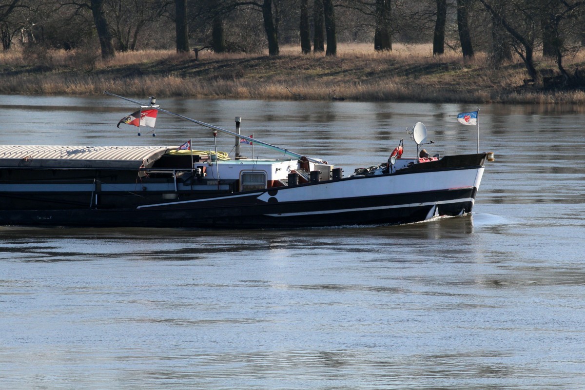 Bug des GMS Havelstern (04013290) am 17.03.2016 auf der Elbe b. Gnevsdorf zu Tal. 