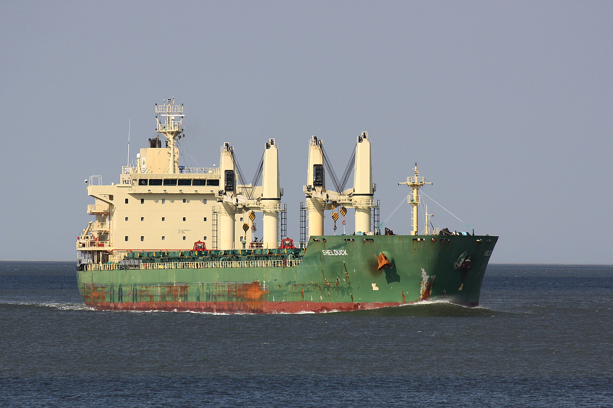 Bulk Carrier Shelduck (IMO:9485930) am 16.09.2018 Cuxhaven Elbe.
