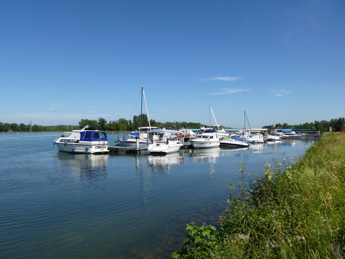 Burkheim, der Nautic-Club am Rhein, Juni 2017