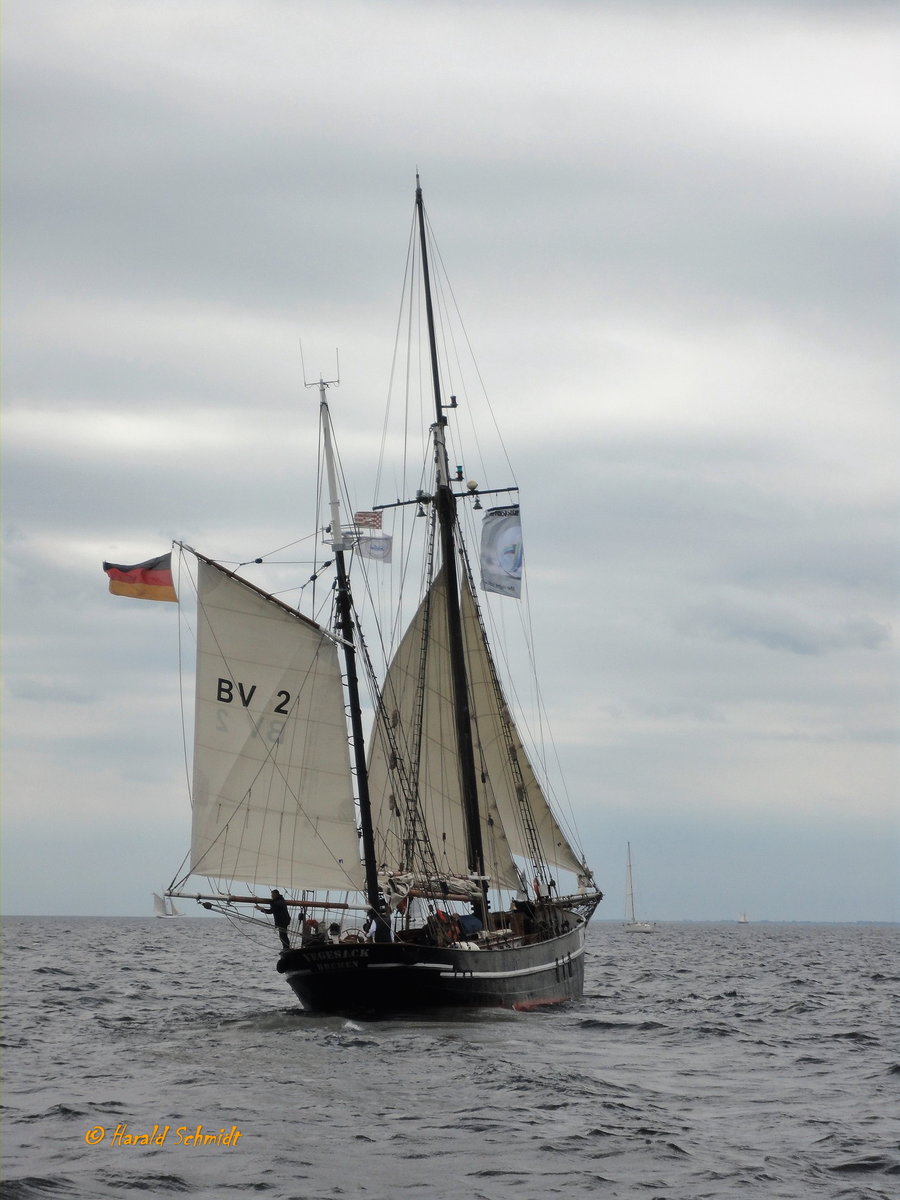 BV 2 VEGESACK am 22.6.2011, Kieler Förde / 
Gaffelketsch / BRZ 73 / Lüa 35,4 m, B 5,4 m, Tg 2,5 m / Segelfläche: 360 m³ / gebaut 1895 als Heringslogger bei Bremer Vulkan Bauort: Bremen-Grohn, restauriert 1979-14981 in Hamburg / 
