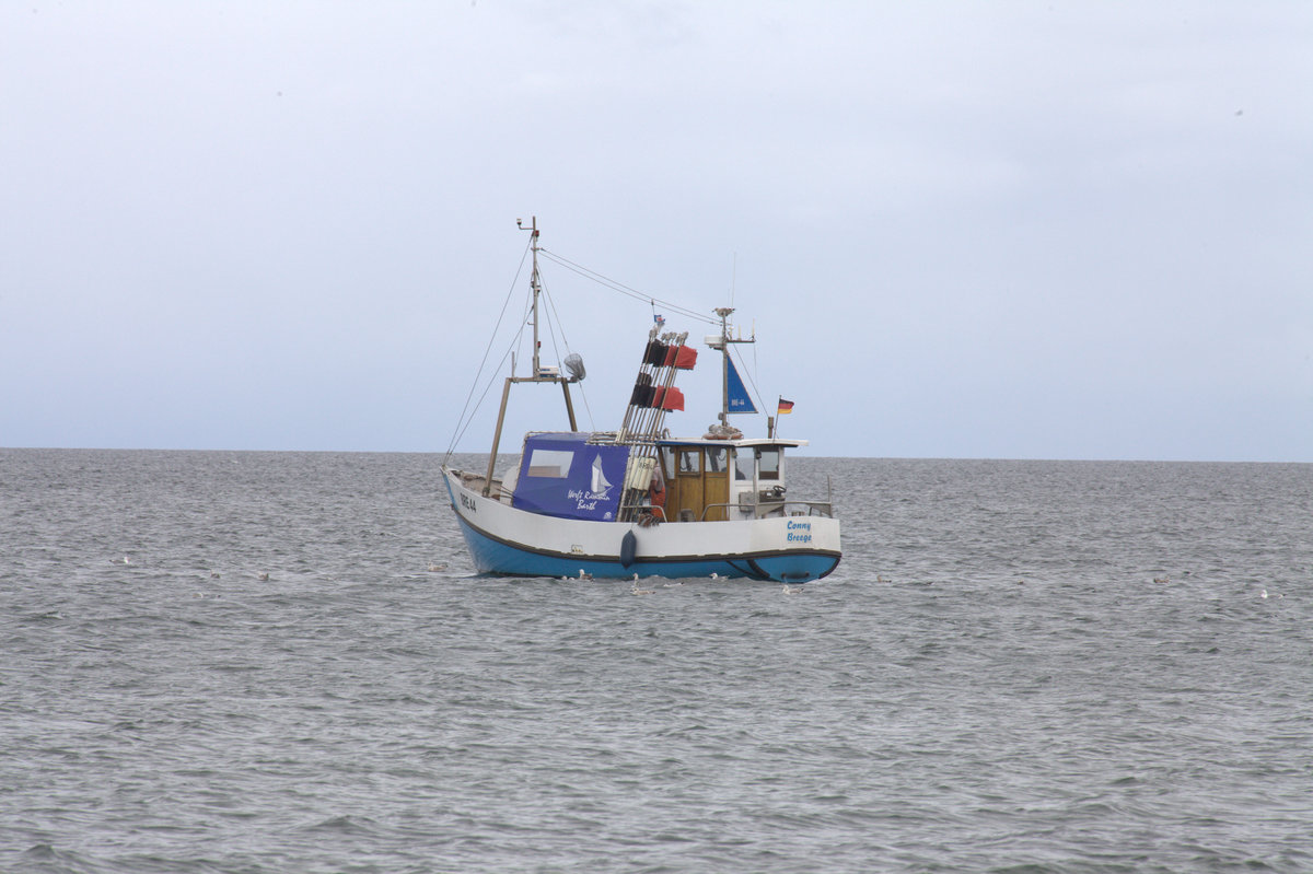  Conny  aus Breege vor der Schaabe (Insel Rügen)23.08.2016 12:57 Uhr.
Fischereikennzeichen BRE 44