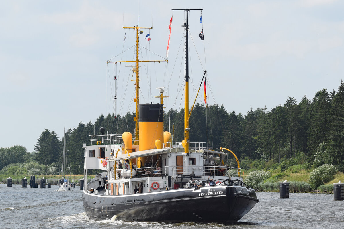 Dampfeisbrecher WAL (IMO 8862662) am 24.07.2021 auf dem NOK (Nord-Ostsee-Kanal)