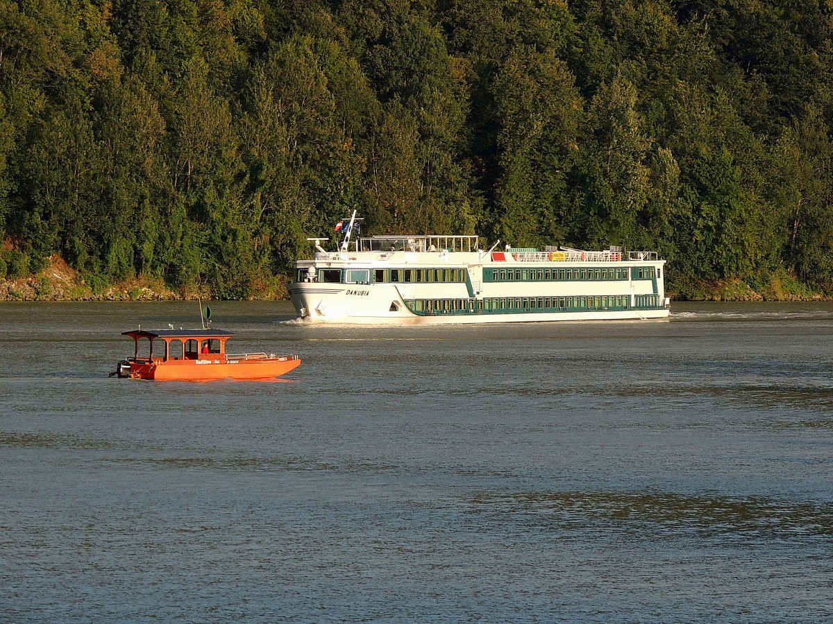 DANUBIA(L=102; B=11,4m; 71Kabinen; Crew:40; BRT1372; 20km/h)trifft im Bereich der Schlögener Schlinge auf die Radfähre MONICA; 130824 