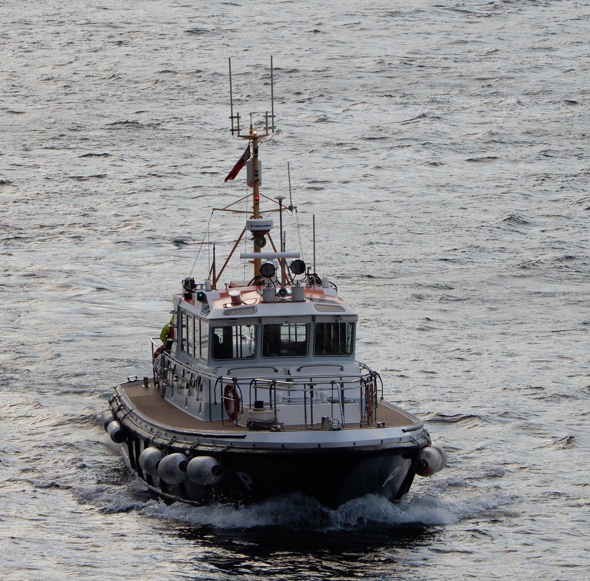 Das 16m lange Lotsenboot Scapa Pioneer am 20.06.19 vor Kirkwall