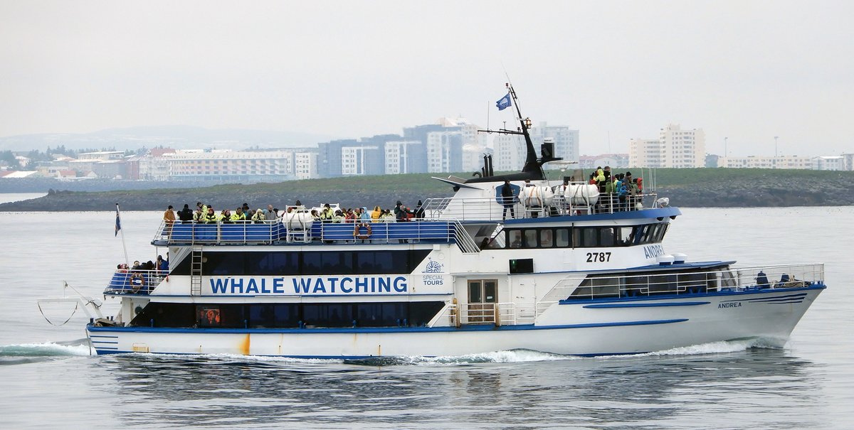 Das 34m lange Fahrgastschiff ANDREA auf Wahlbeobachtung am 17.06.19 vor Reykjavik