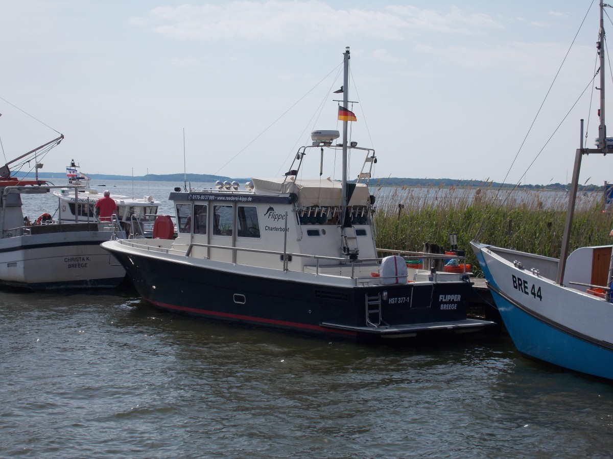 Das Charterschiff  FLIPPER ,am 05.Juni 2014,im Breeger Hafen.