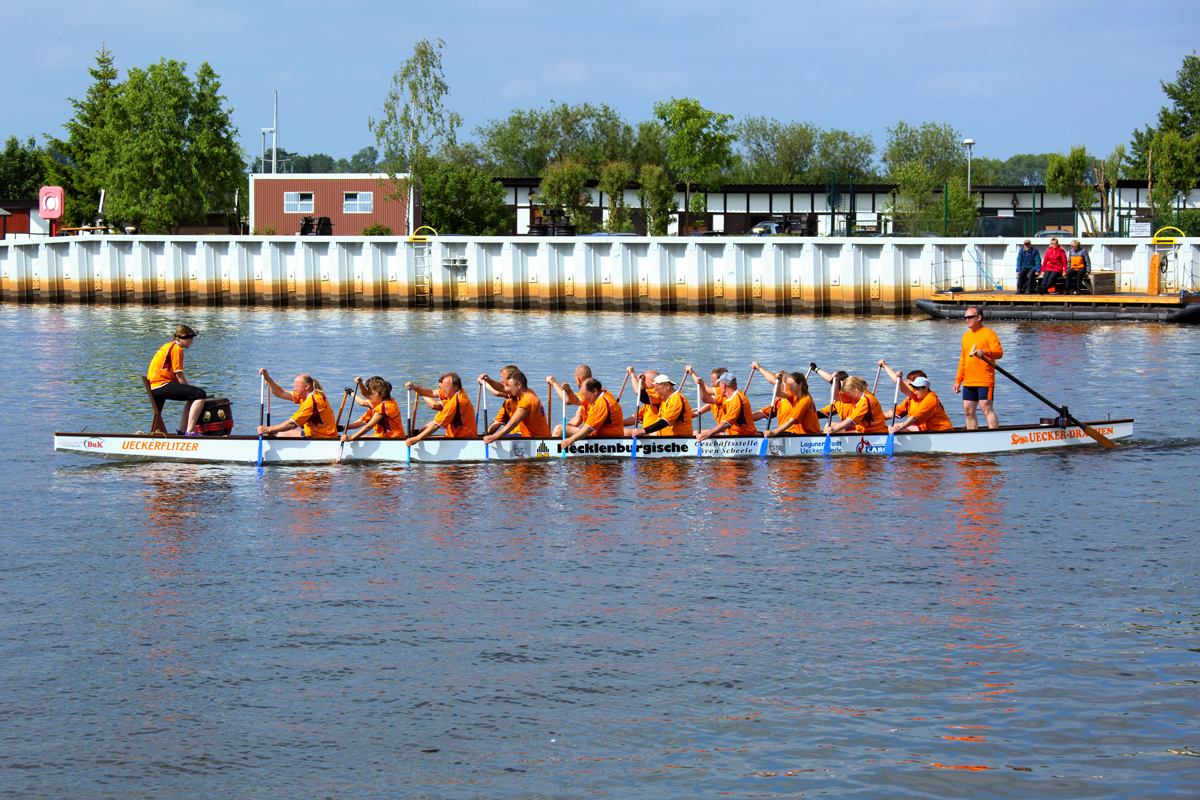 Das Drachenboot wird im Stadthafen Ueckermünde in Startposition gebracht. - 30.05.2014