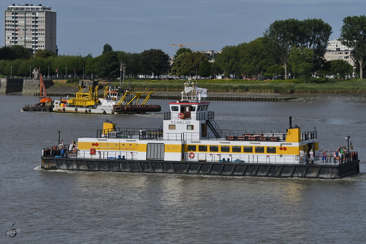 Das Fährschiff  Schelde  Ende Juli 2018 auf der Schelde in Antwerpen.