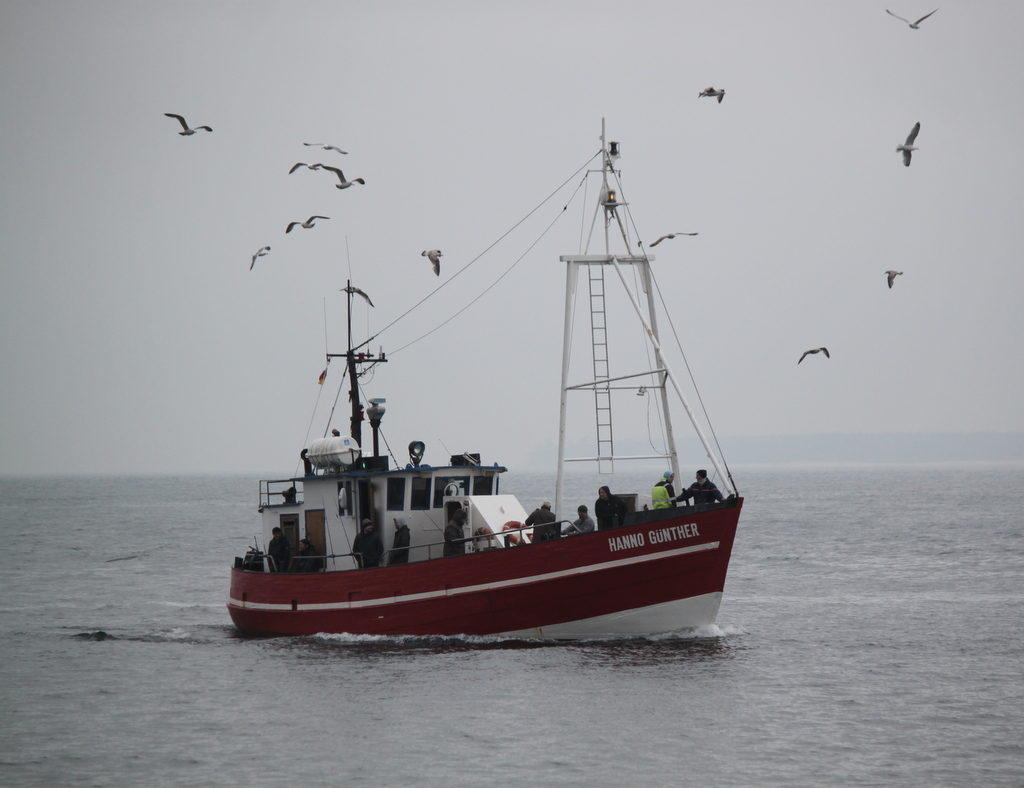 Das Fahrgastschiff Hanno Günter kam am Mittag des 10.05.2019 unter tierischer Begleitung zurück nach Warnemünde.