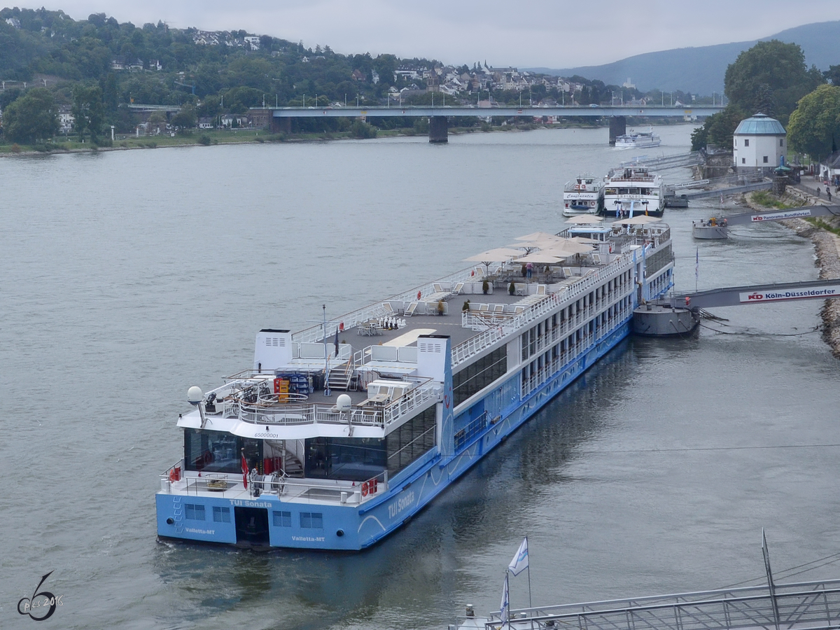 Das Fahrgastschiff TUI Sonata auf dem Rhein in Koblenz (September 2013)