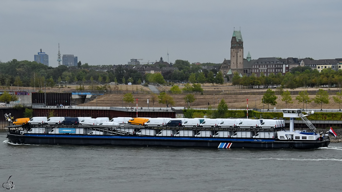 Das Fahrzeugtransportschiff TERRA (ENI: 02316218) war Ende August 2022 auf dem Rhein bei Duisburg zu sehen.