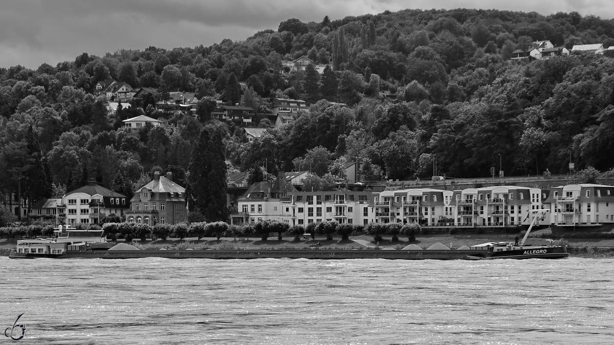 Das Gütermotorschiff ALLEGRO (ENI: 02322618) fährt rheinaufwärts, so gesehen Anfang August 2021 in Remagen.