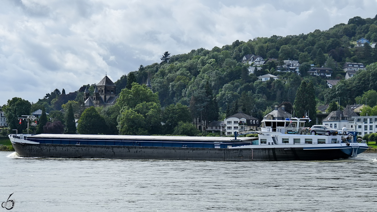 Das Gütermotorschiff AMORE (ENI: 02323817) fährt rheinaufwärts. (Remagen, August 2021)
